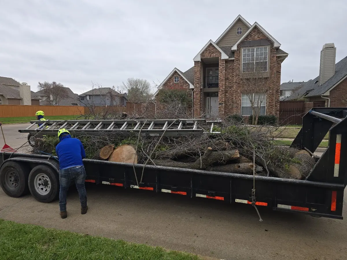 Expert Tree Fertilization with proper safety equipment in Dayville